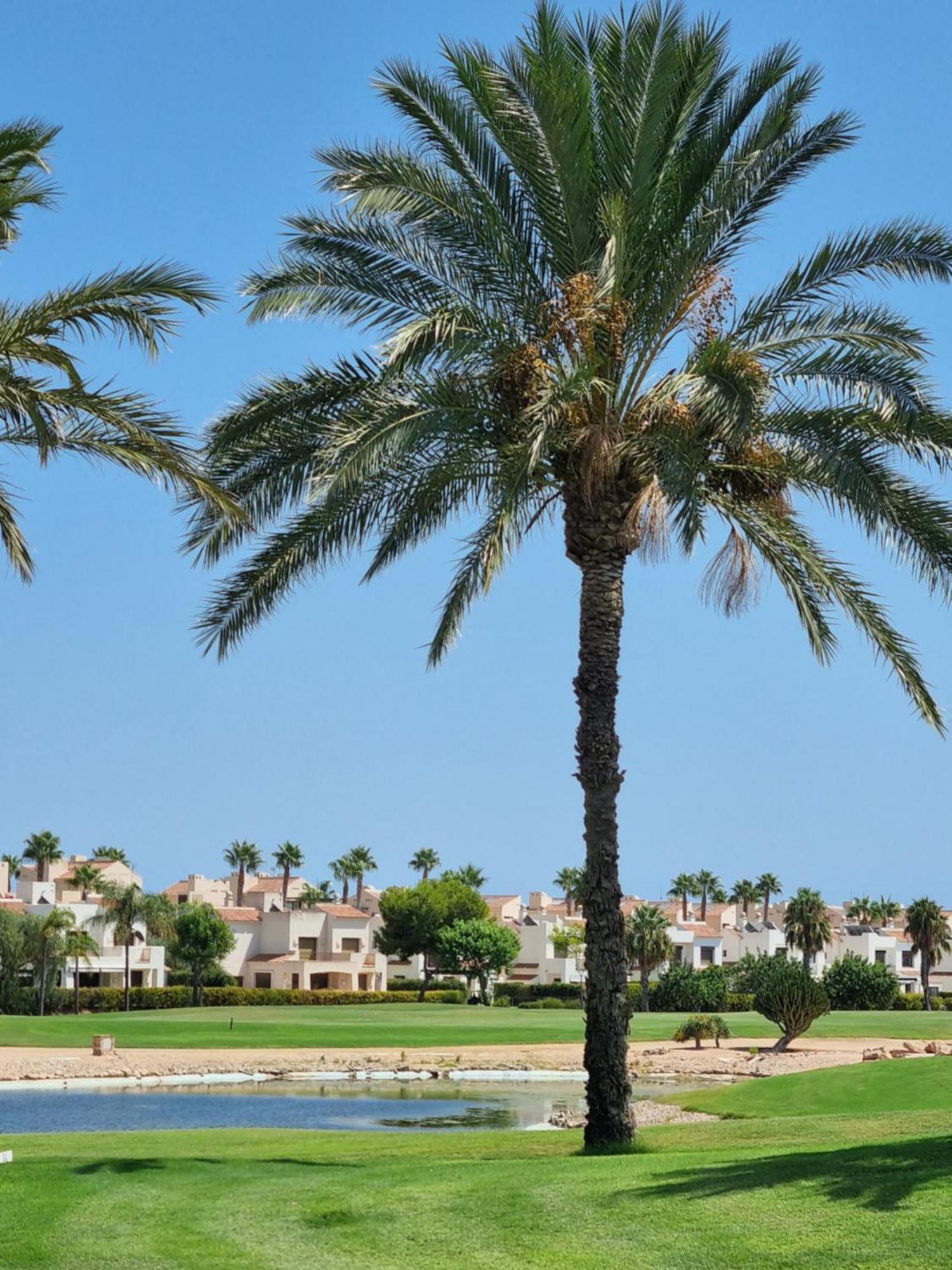 Holiday home Casa Verano In Roda Golf And Mar Menor